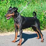 Maggy-May Gräfin von Burg-Wildenstein