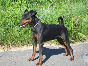 Maggy-May mit 10 Monaten