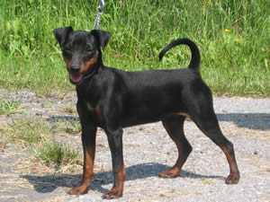 Maggy-May with 5 month