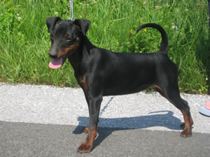 Maggy-May mit 5 Monaten