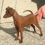 Ruby Gräfin von Burg-Wildenstein