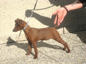 Ruby Gräfin von Burg-Wildenstein  mit 4 Monaten