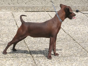 Ruby Gräfin von Burg-Wildenstein  mit 9 Monaten