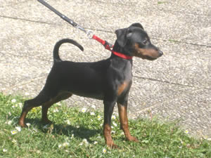 Zimnya Wishnya mit 3,5 Monaten