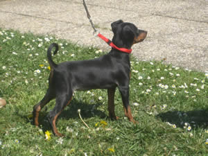 Zimnya Wishnya with 3,5 month