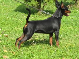 Zimnya Wishnya with 15 month