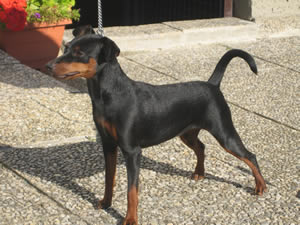 Zimnya Wishnya mit 7 Monaten