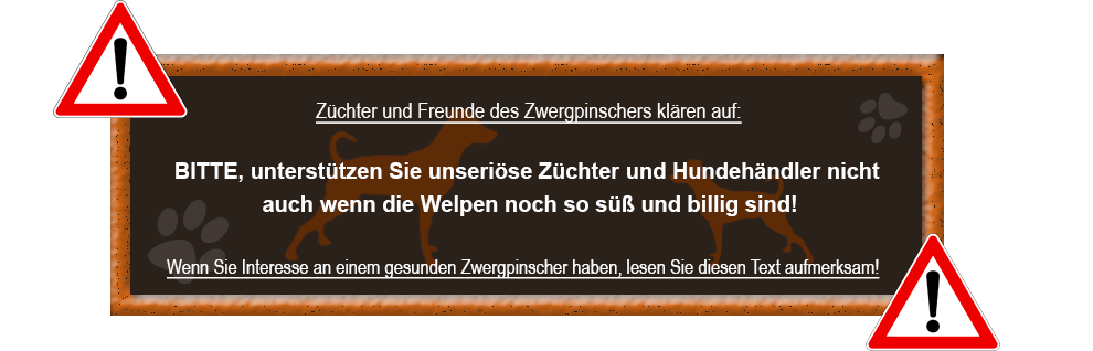 Zwergpinscher Initiative