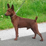 Graf Guido von Burg-Wildenstein